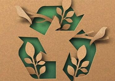 Bio-based, fully degradable, low carbon row, recyclable ...... Global dairy green packaging innovation case roundup
